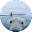 Adam Donohoe profile picture